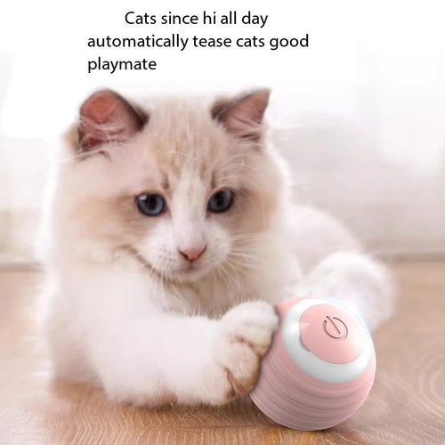 Cat Interactive Ball Smart Cat Toys Indoor Automatic Rolling Magic